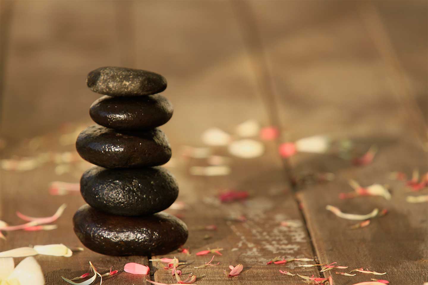 Special Offers Sebali Resort